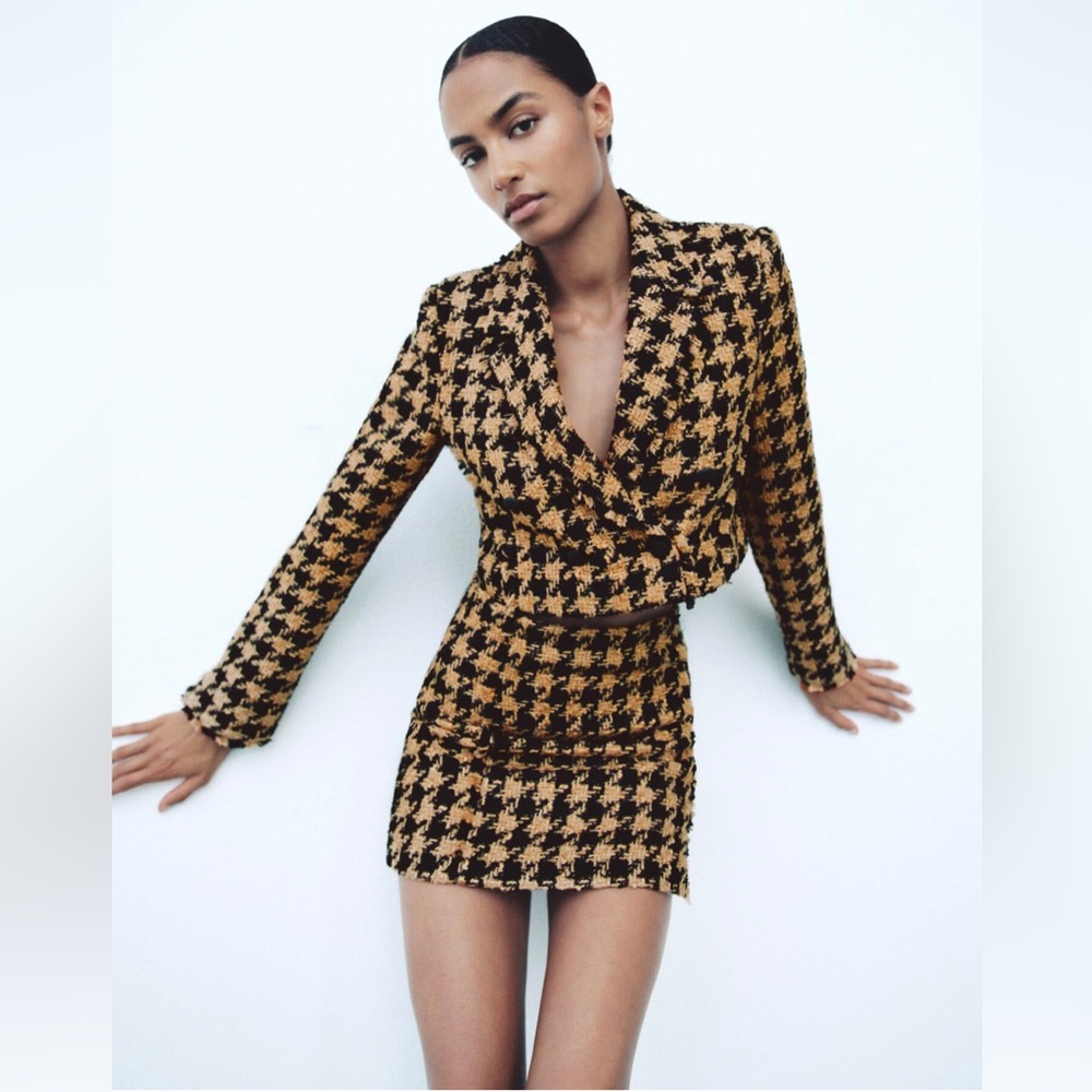 Zara Textured Weave Houndstooth Mini Skirt